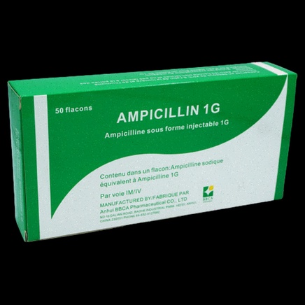 ampicillin