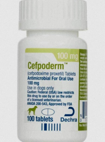 cefpodoxime