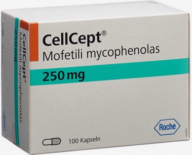 Cellcept Mycophénolate mofétil