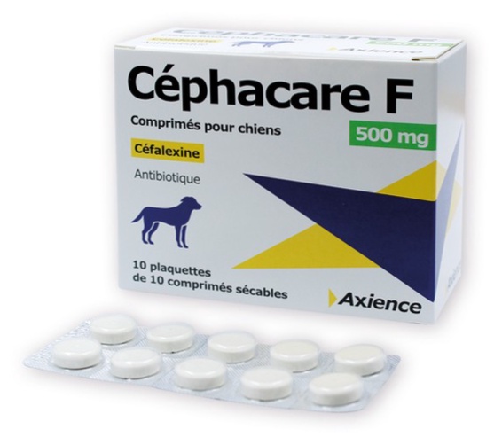 Cephalexin générique